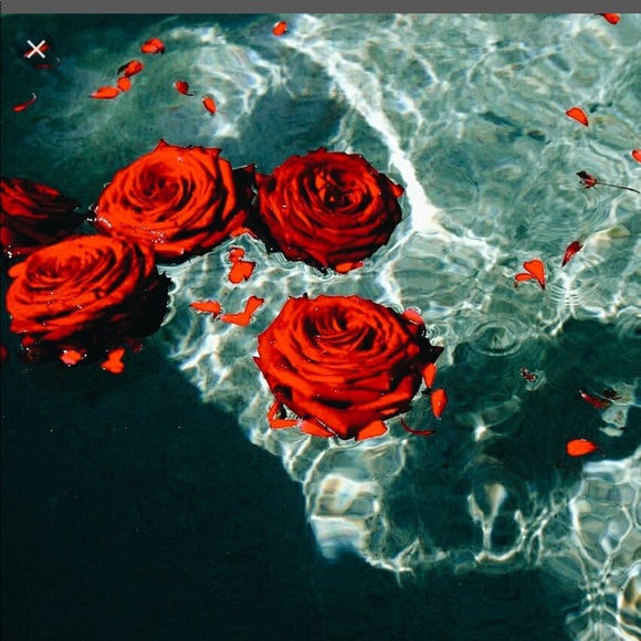 Not - Picture 1 of 1